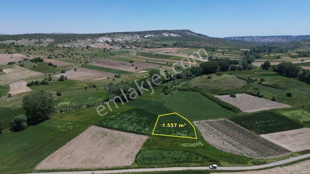 Kilistra Da 1.557 M2 Müstakil Tapulu Arazi