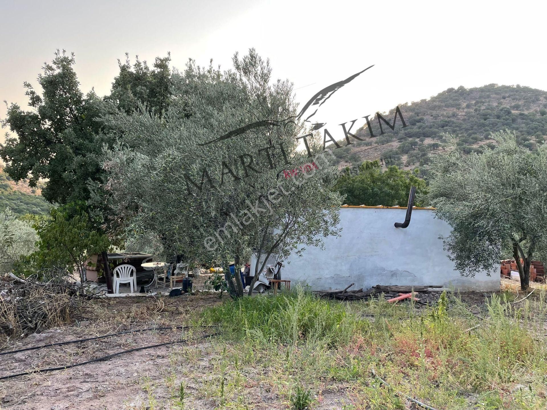 Martı Takım'dan Dikili Nebiler'de 17.697 M2 Satılık Tarla