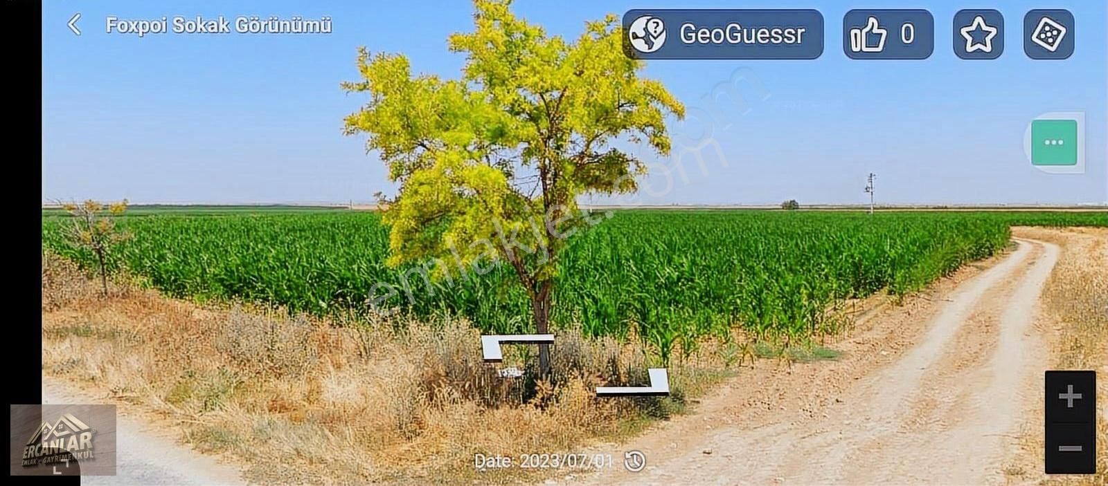 Altınekin Sarnıç Yoluna Cephe 21625 M2 Değerli Sulanır Tarla....