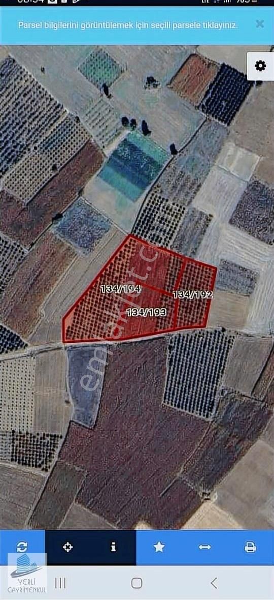Çivril Menteş'te 18000m2 Sulak Tarla