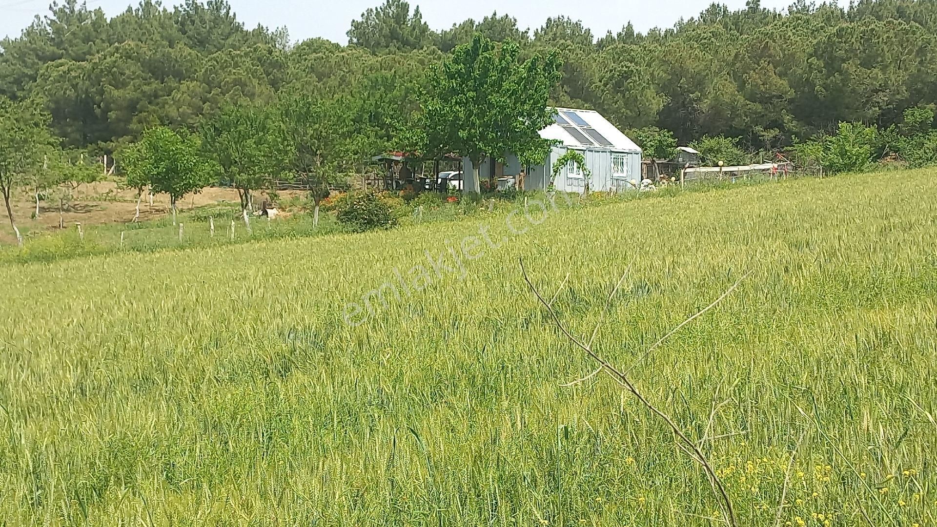 Şarköy İstanbul Yolu Üzerinde Ana Yola 65 Metre Cepheli Deniz Manzaralı 3100m2yerimiz Satılıktır