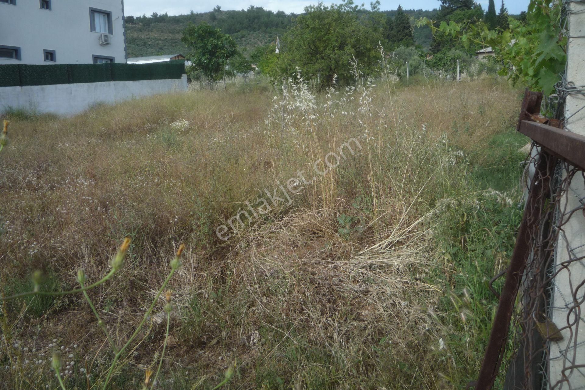 İzmir Torbalı Gold Emlaktan Satılık Konut İmarlı Arsa - Görsel 6