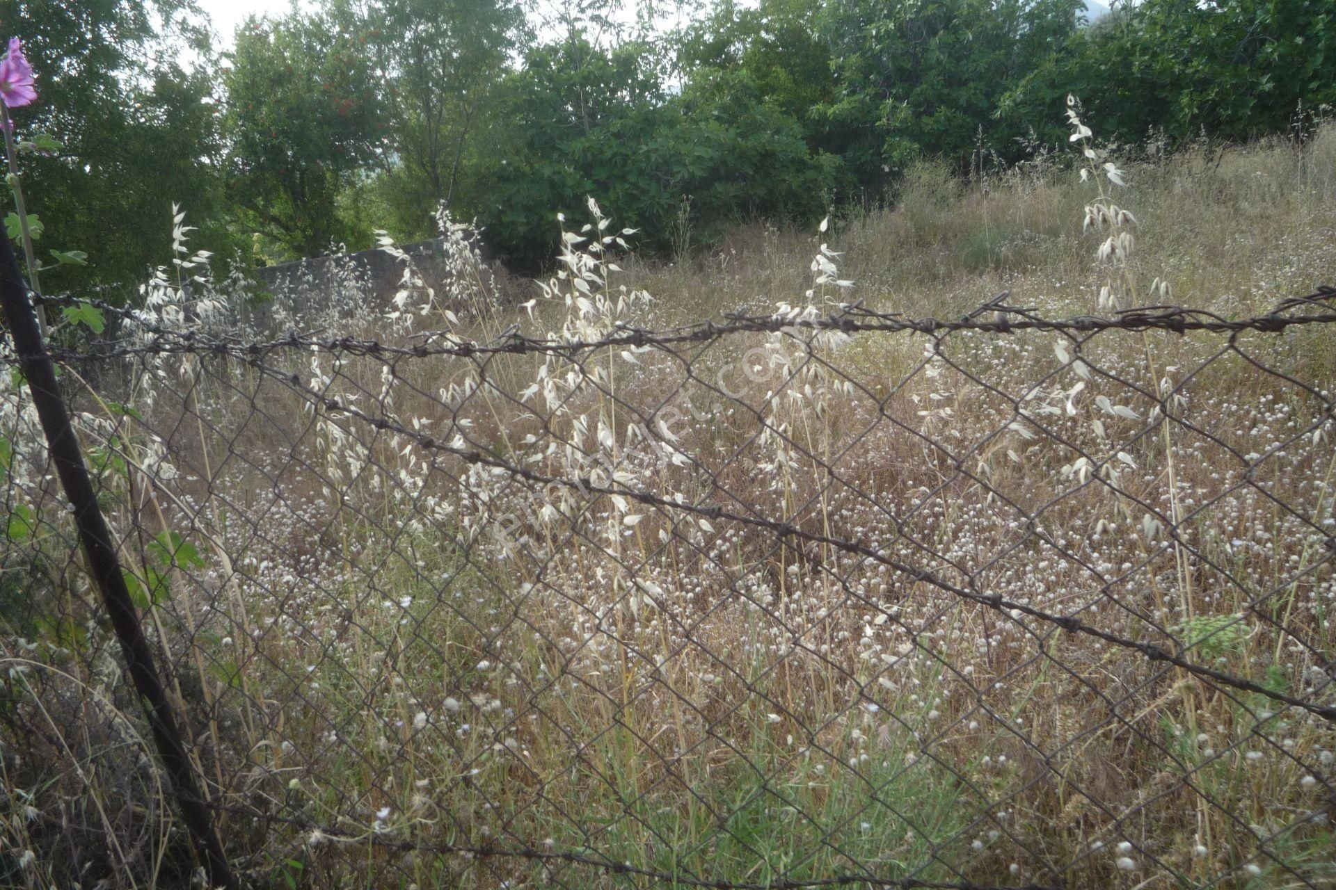 İzmir Torbalı Gold Emlaktan Satılık Konut İmarlı Arsa - Görsel 4