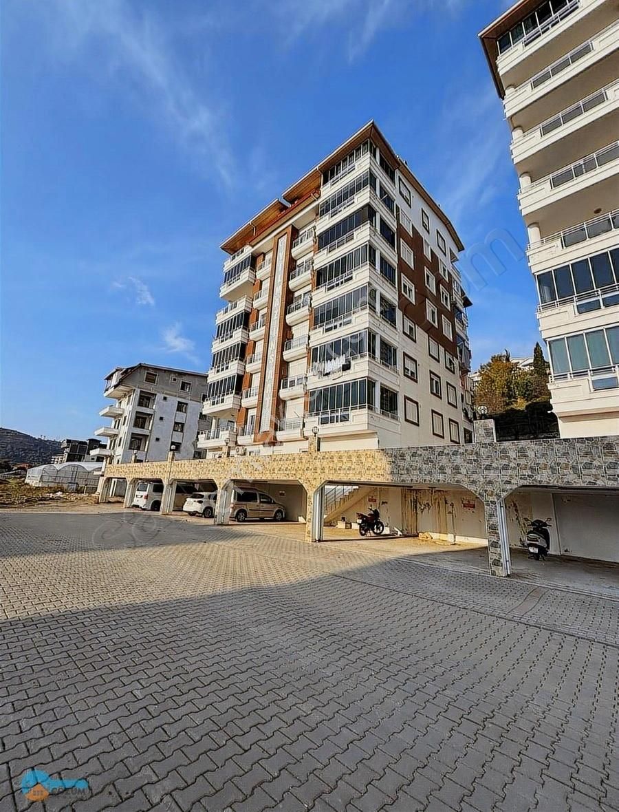 Gazipaşanın Gözdesi Cebeli'de.....