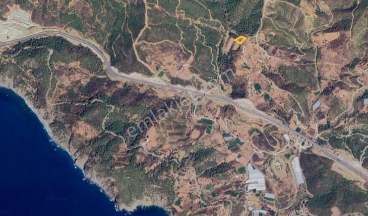 Demırörende Müstakıl 2489 Mt Tarla