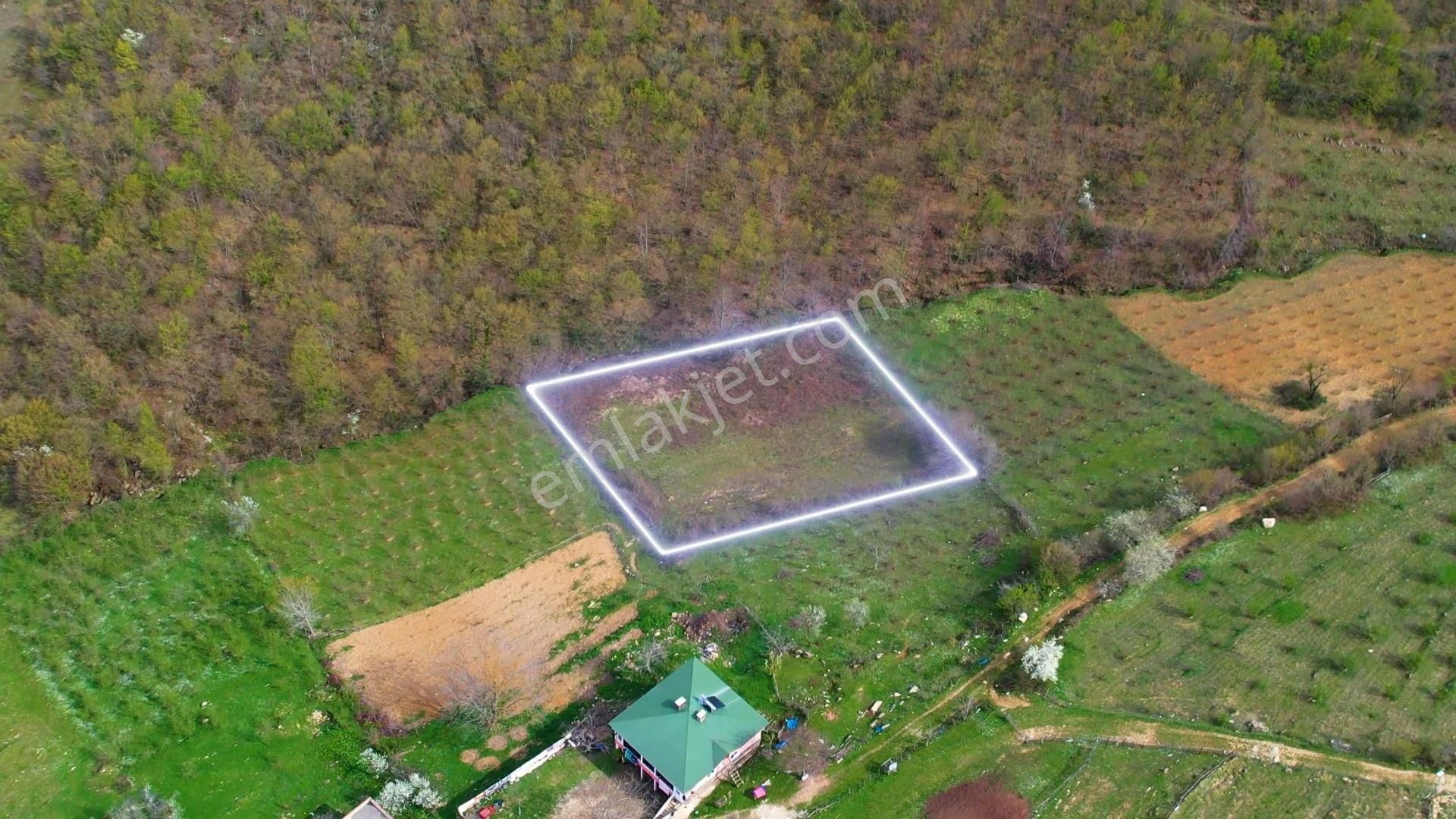 Acilll Fırsat Canik Düzören 1839 M2 Bölgenin En Ucuz Tarlası