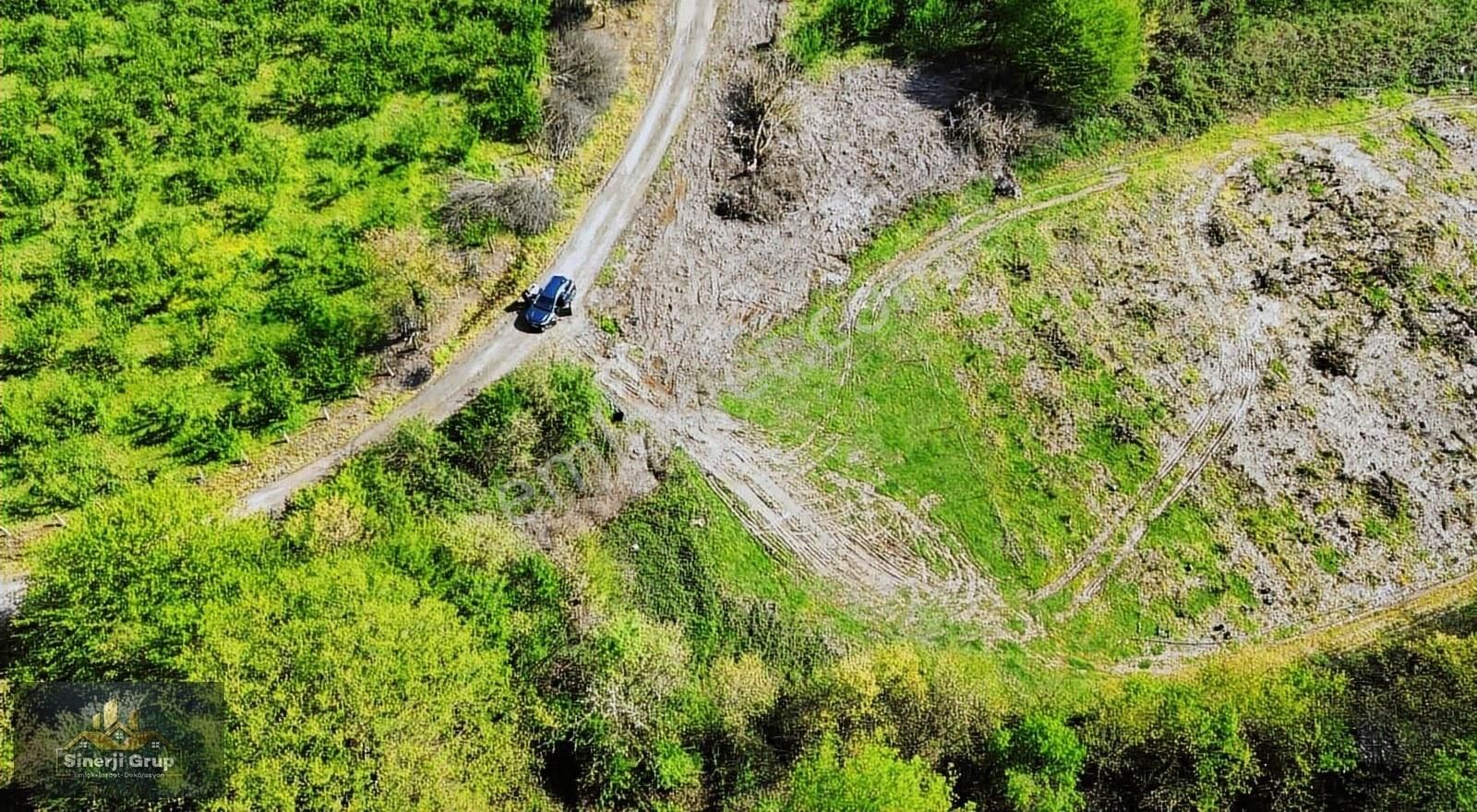 Uzunca Orman Mahallesinde 665 M2 Tarla
