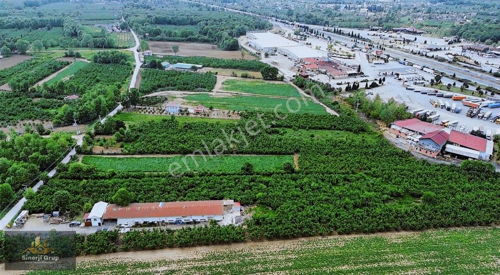 Sinerji Grup'tan 4.000 M2'si İmarlı 5.683m2 Arsa