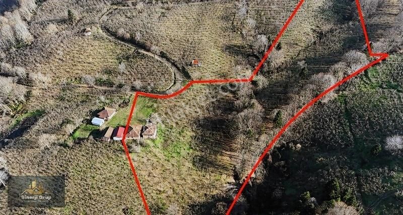 Sinerji Gruptan 20 Dönüm İçerisinde Ev Satılık Fındıklık