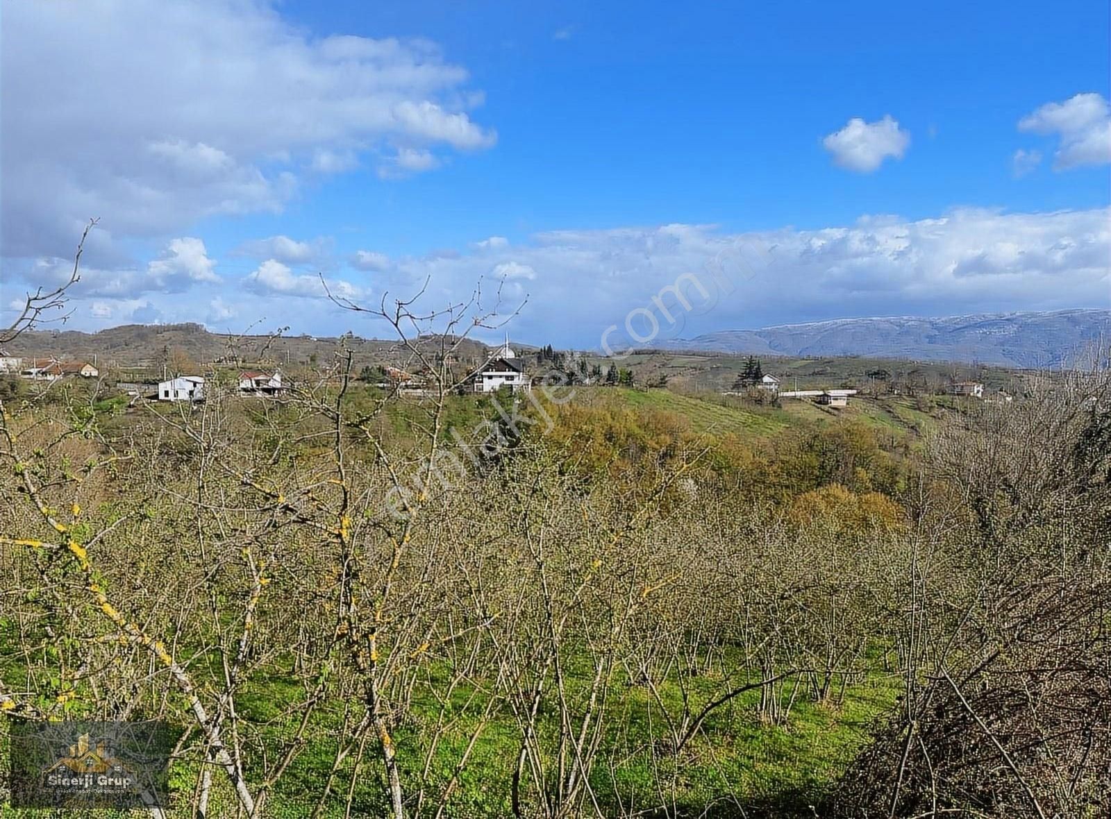 Sinerji Gruptan Güldibinden Satılık 6.786 M2 Fındıklık