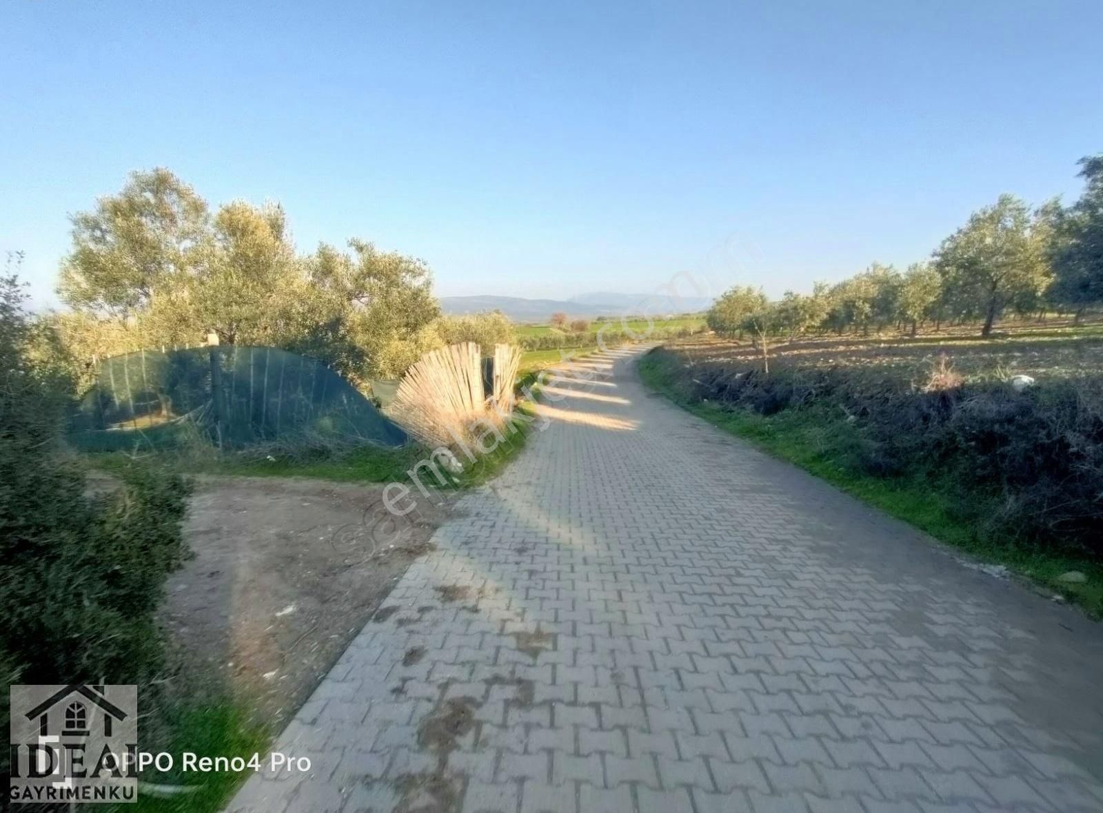 Manisa Saruhanlı Halitpaşa Ana Cadde Üzeri 14.450 M2 Zeytinlik - Görsel 20