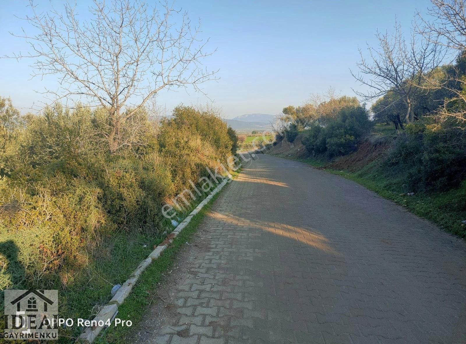 Manisa Saruhanlı Halitpaşa Ana Cadde Üzeri 14.450 M2 Zeytinlik - Görsel 17