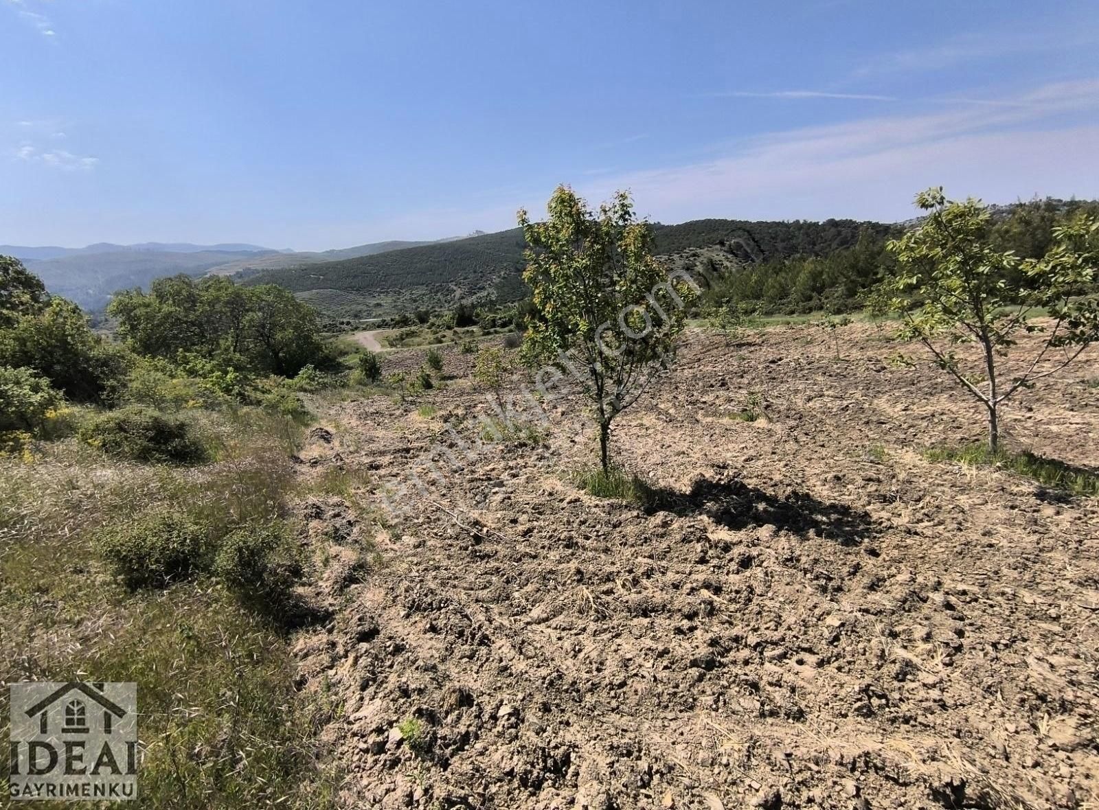 Manisa Büyük Súmbüller Koye 1 Km Uzaklik 3300m2 2.950.000tl