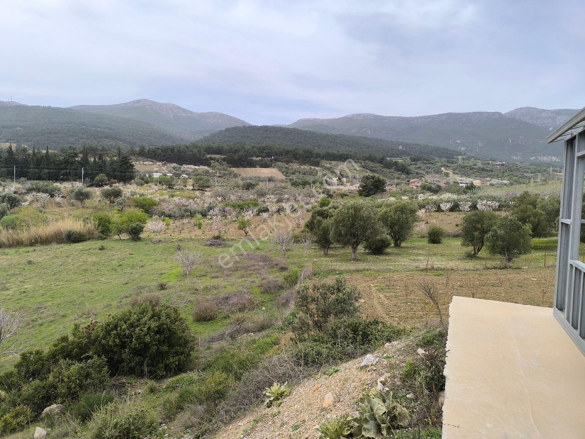 Manisa Sancaklı Uzunçınar'da Evlere Sifir 760 M2 Zeytinlik