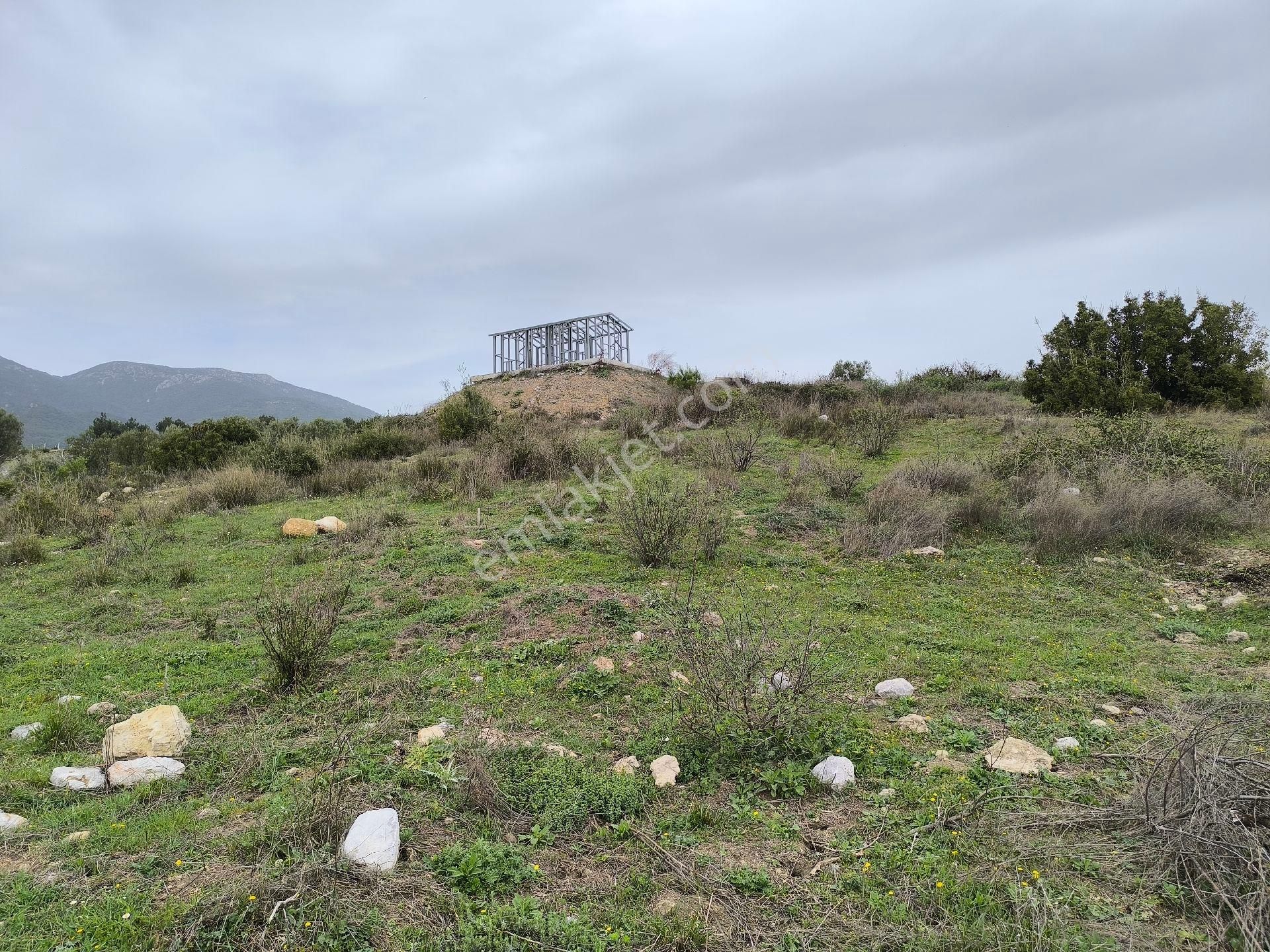 Manisa Sancaklı Uzunçınar'da Evlere Sifir 760 M2 Zeytinlik - Görsel 29