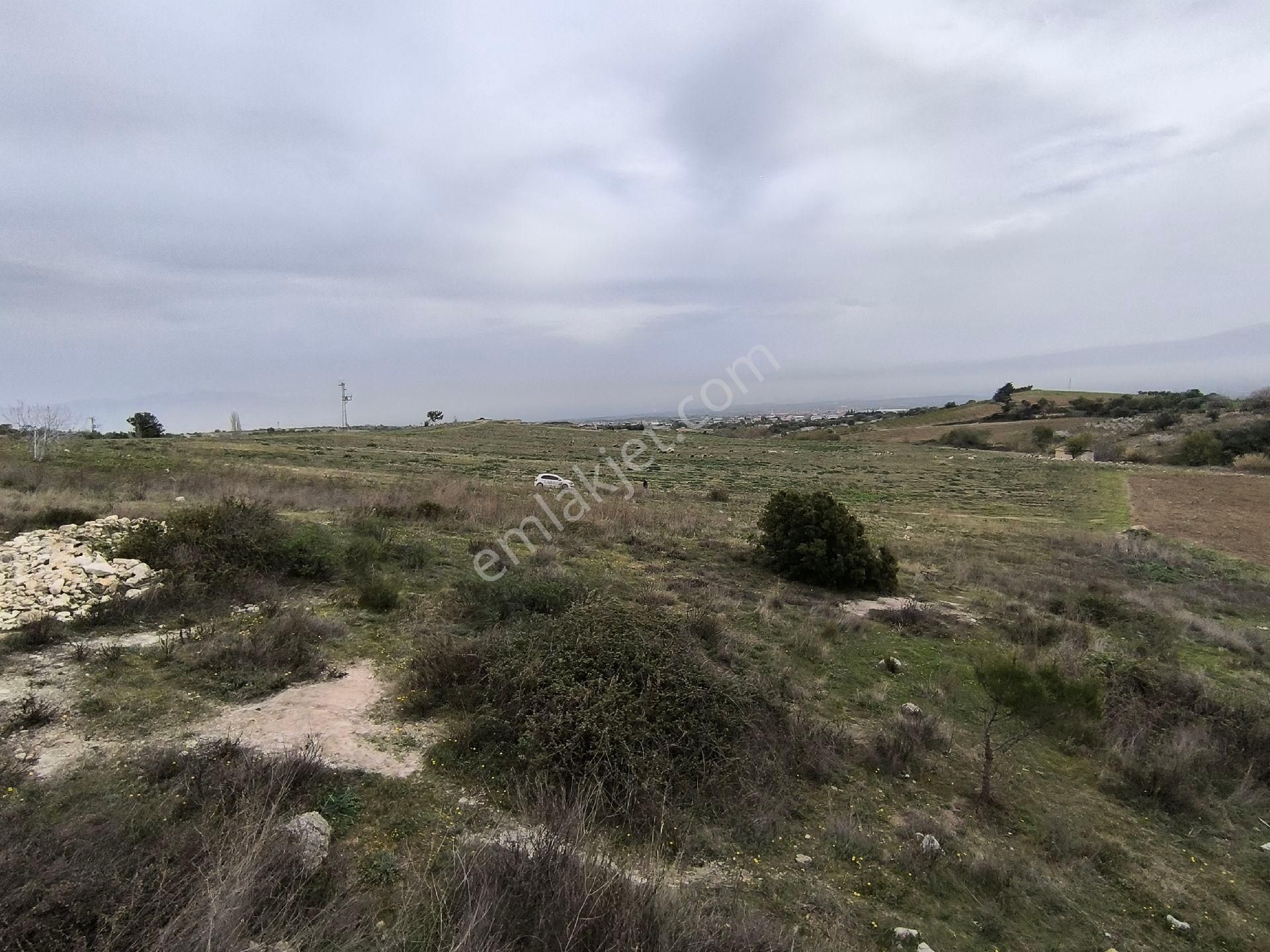 Manisa Sancaklı Uzunçınar'da Evlere Sifir 760 M2 Zeytinlik - Görsel 18