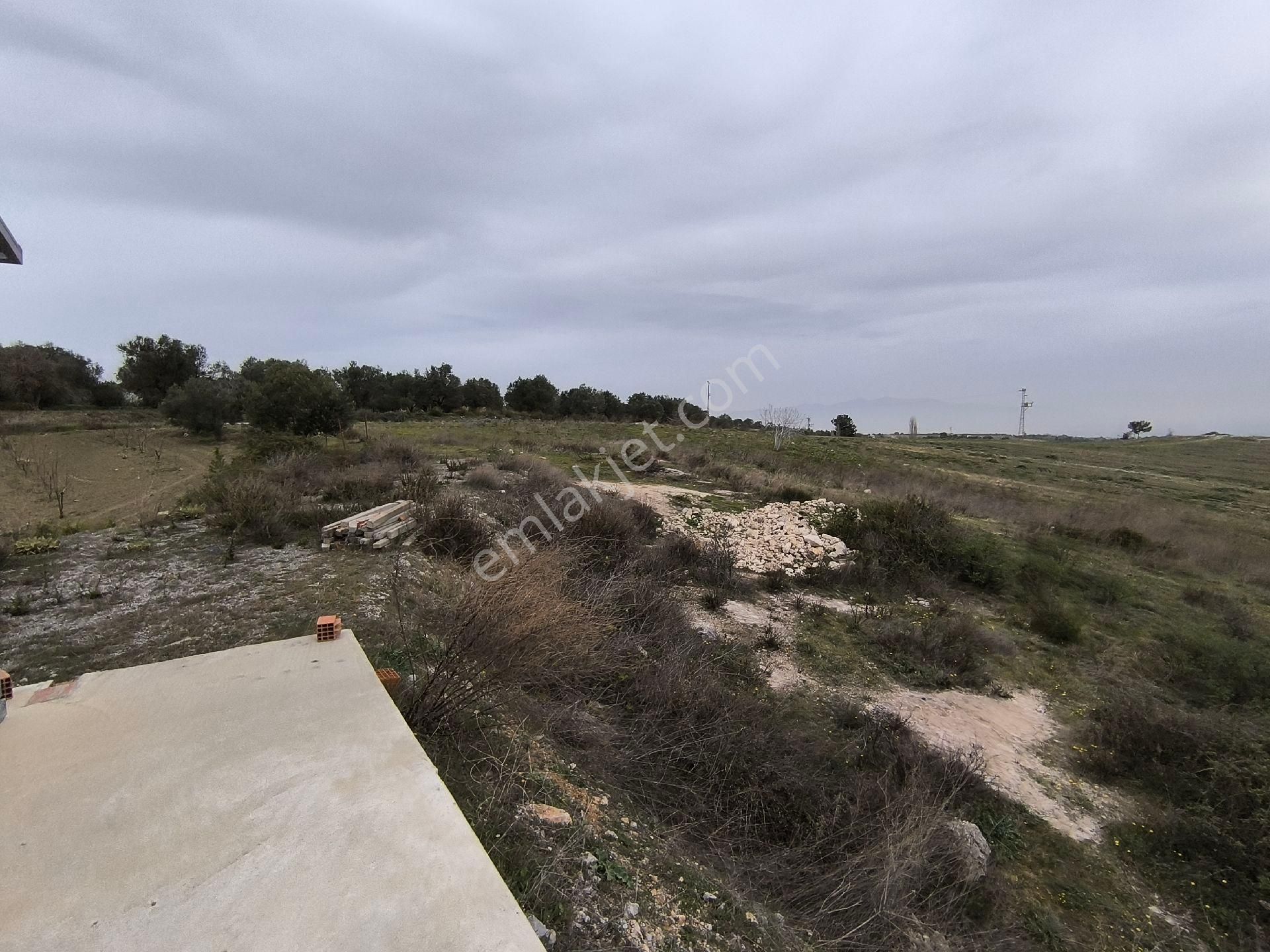 Manisa Sancaklı Uzunçınar'da Evlere Sifir 760 M2 Zeytinlik - Görsel 25