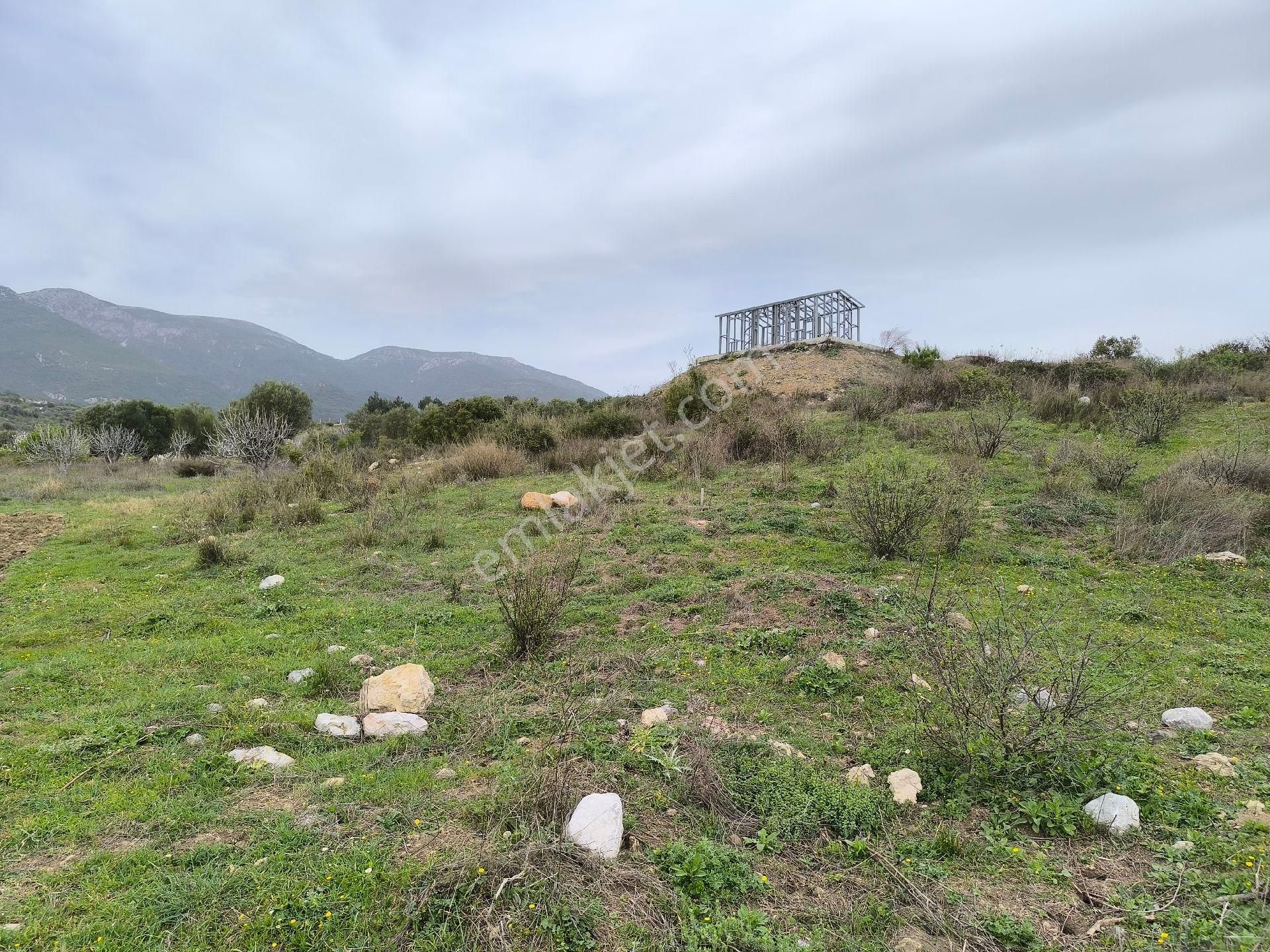 Manisa Sancaklı Uzunçınar'da Evlere Sifir 760 M2 Zeytinlik - Görsel 11