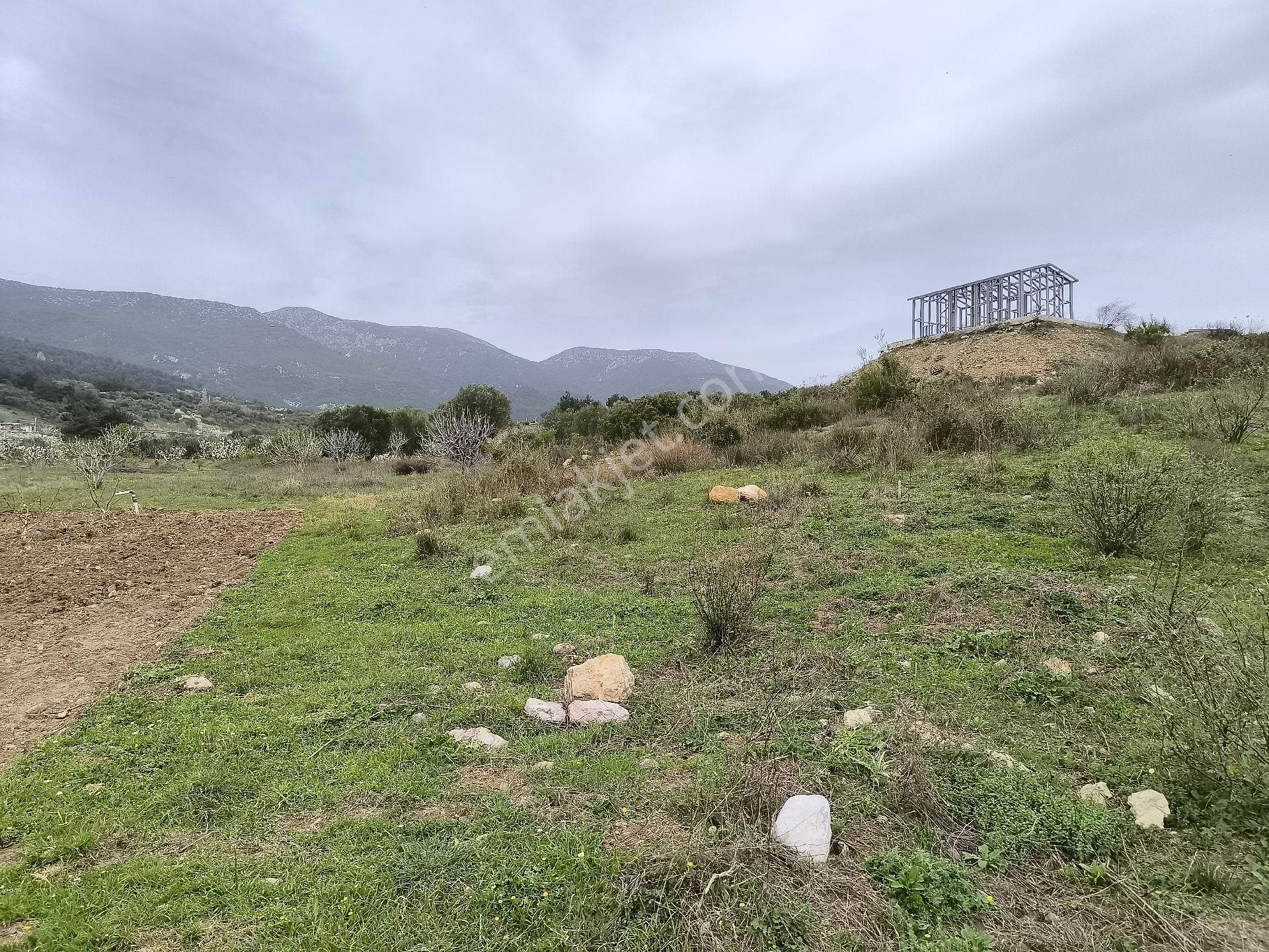 Manisa Sancaklı Uzunçınar'da Evlere Sifir 760 M2 Zeytinlik - Görsel 31