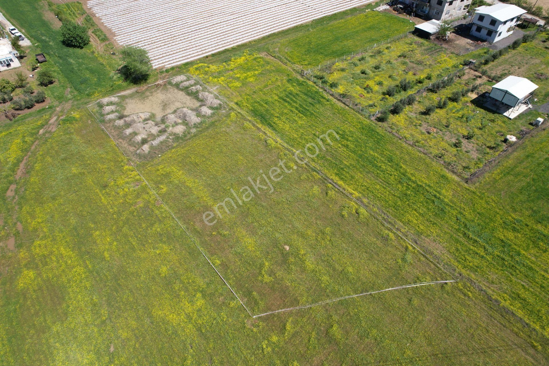 Antalya Manavgat Doğançam'da Satılık 1944 M² Tarla