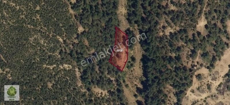 Denizli Beyağaç Sazak'ta 2063 M² Satılık Fırsat Tarla...
