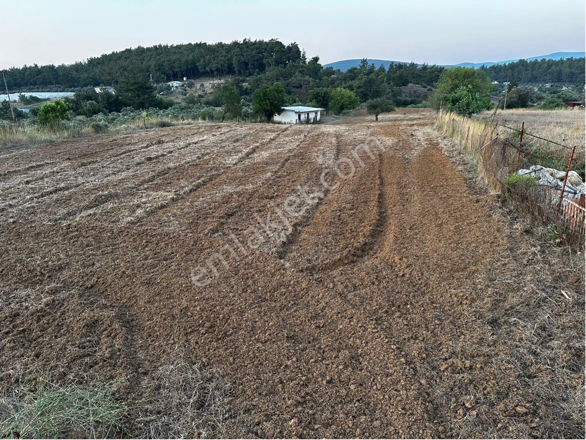 Menderes Ataköy’de Cadde Üzeri 8.305 M2 Tarla İçinde Çiftlik - Görsel 19