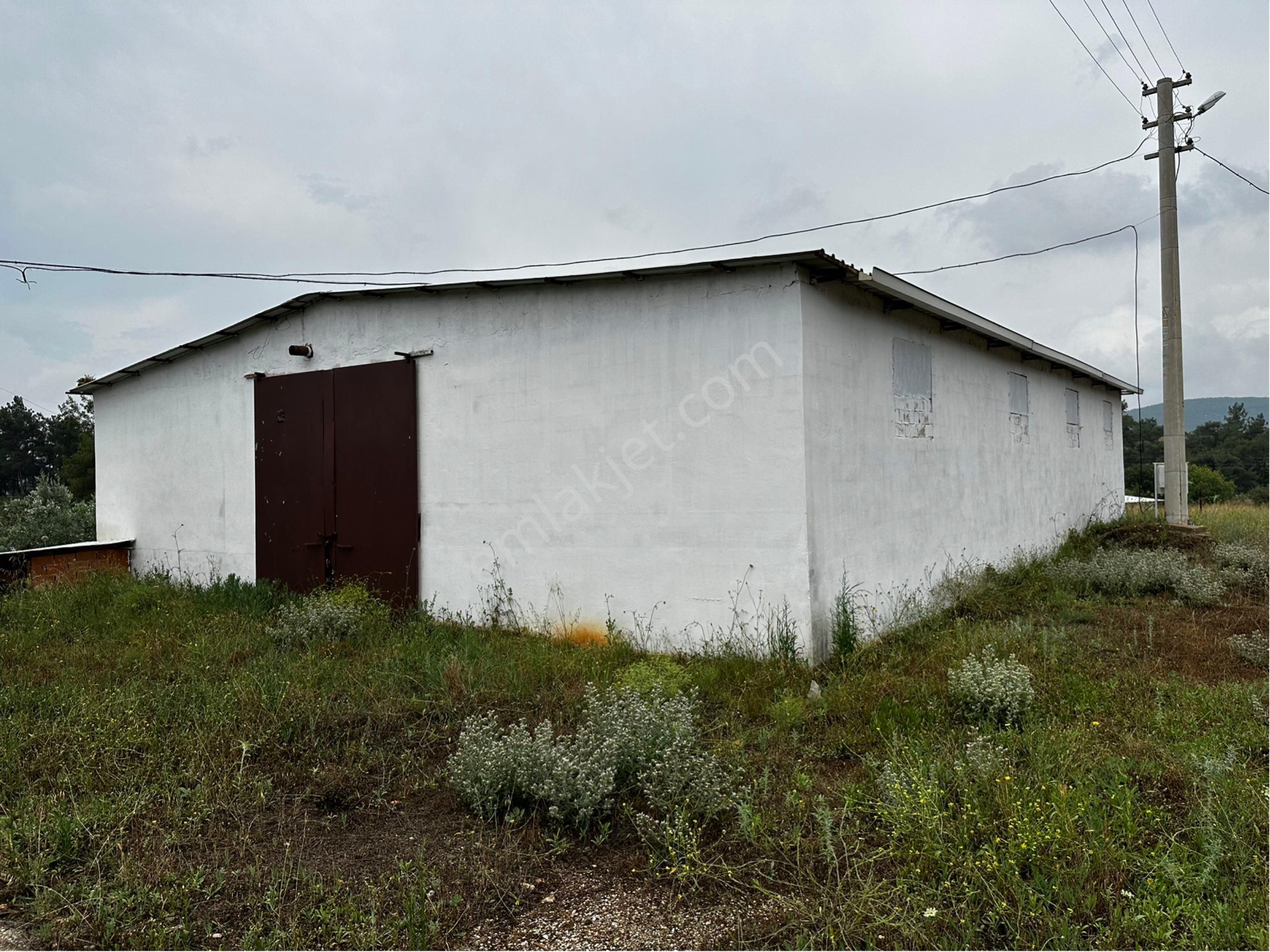 Menderes Ataköy’de Cadde Üzeri 8.305 M2 Tarla İçinde Çiftlik - Görsel 3