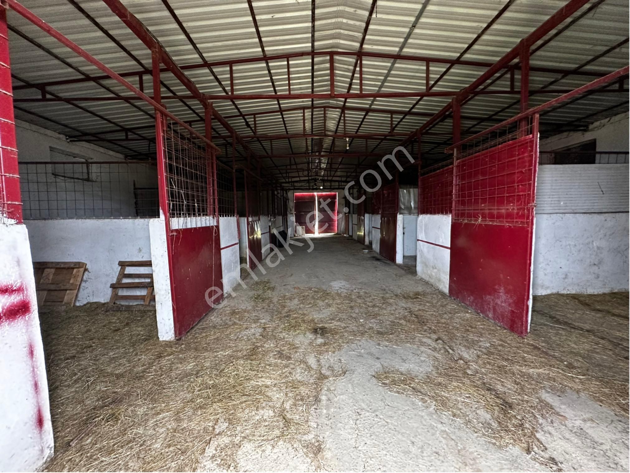 Menderes Ataköy’de Cadde Üzeri 8.305 M2 Tarla İçinde Çiftlik - Görsel 24