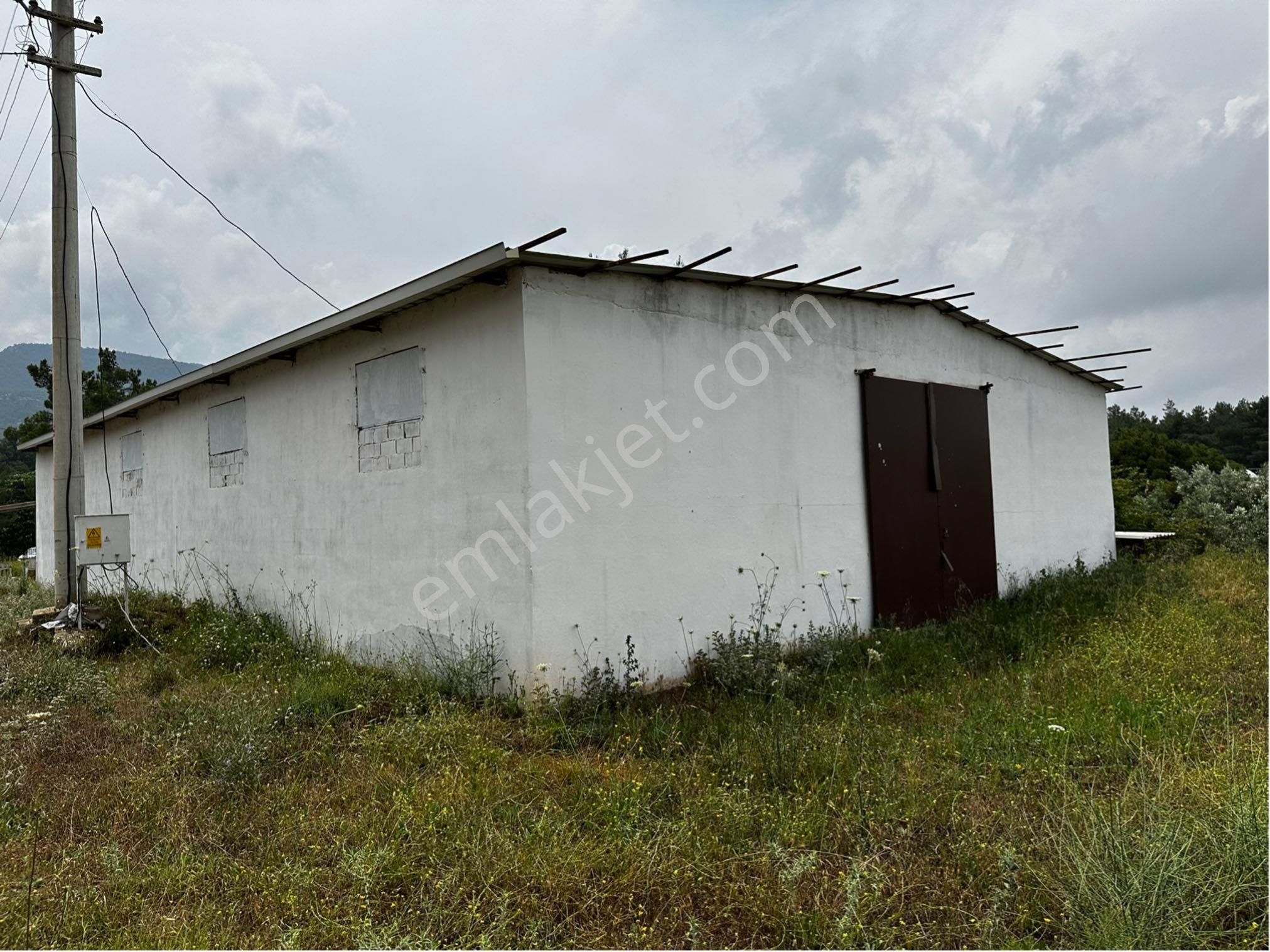 Menderes Ataköy’de Cadde Üzeri 8.305 M2 Tarla İçinde Çiftlik - Görsel 13