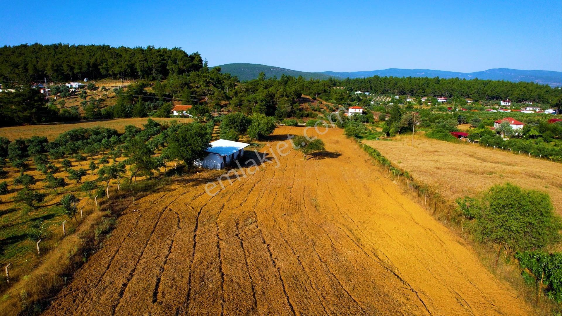 Menderes Ataköy’de Cadde Üzeri 8.305 M2 Tarla İçinde Çiftlik - Görsel 16