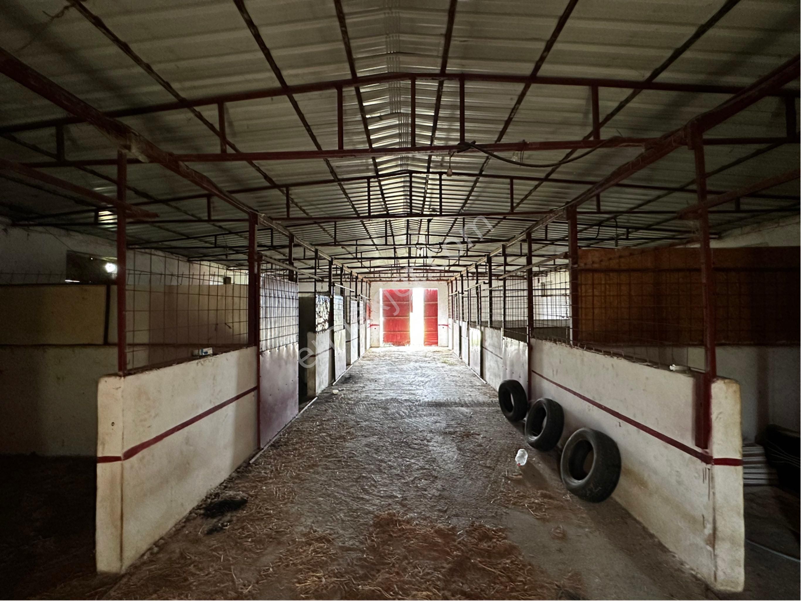 Menderes Ataköy’de Cadde Üzeri 8.305 M2 Tarla İçinde Çiftlik - Görsel 2