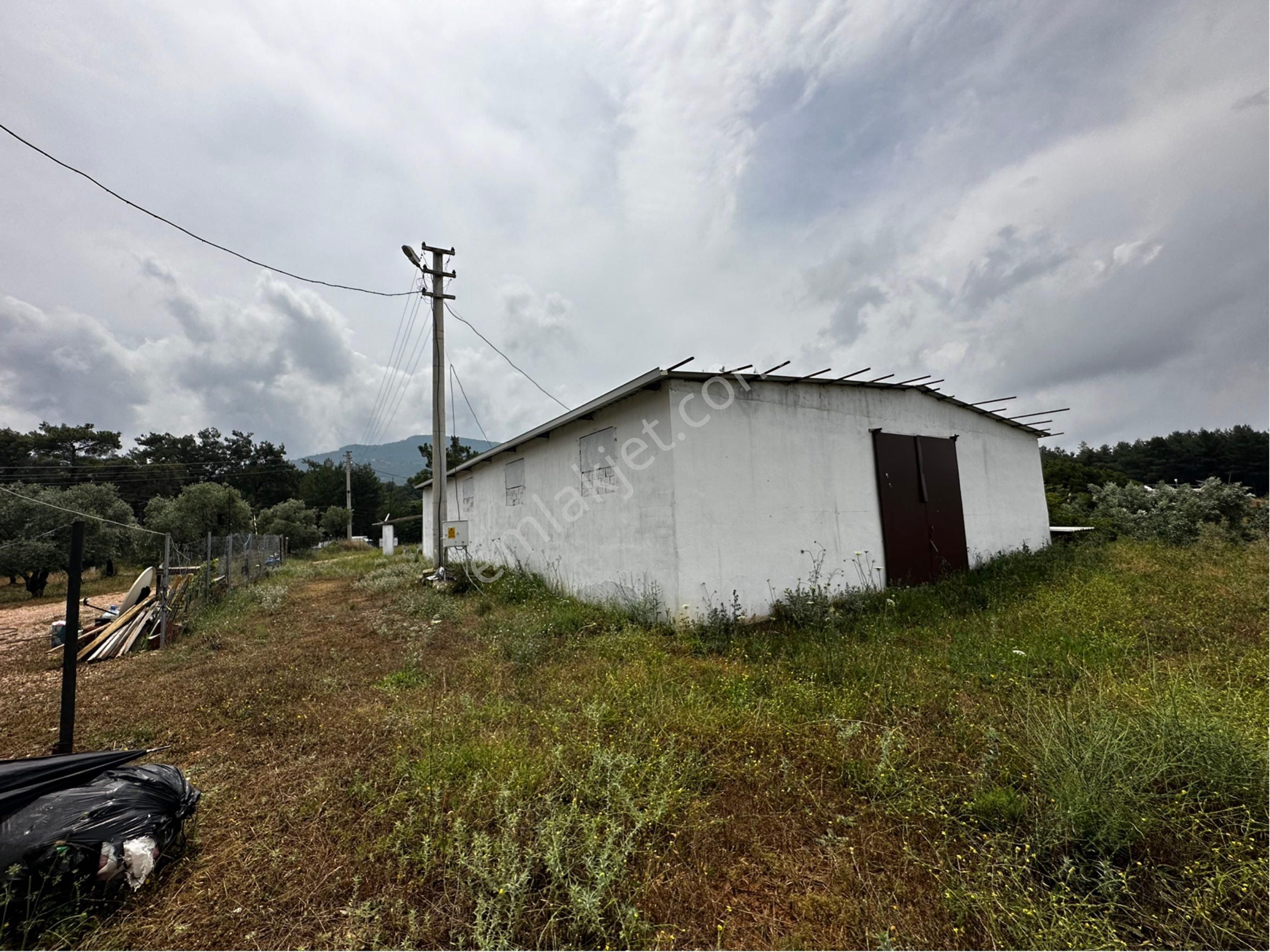 Menderes Ataköy’de Cadde Üzeri 8.305 M2 Tarla İçinde Çiftlik - Görsel 4