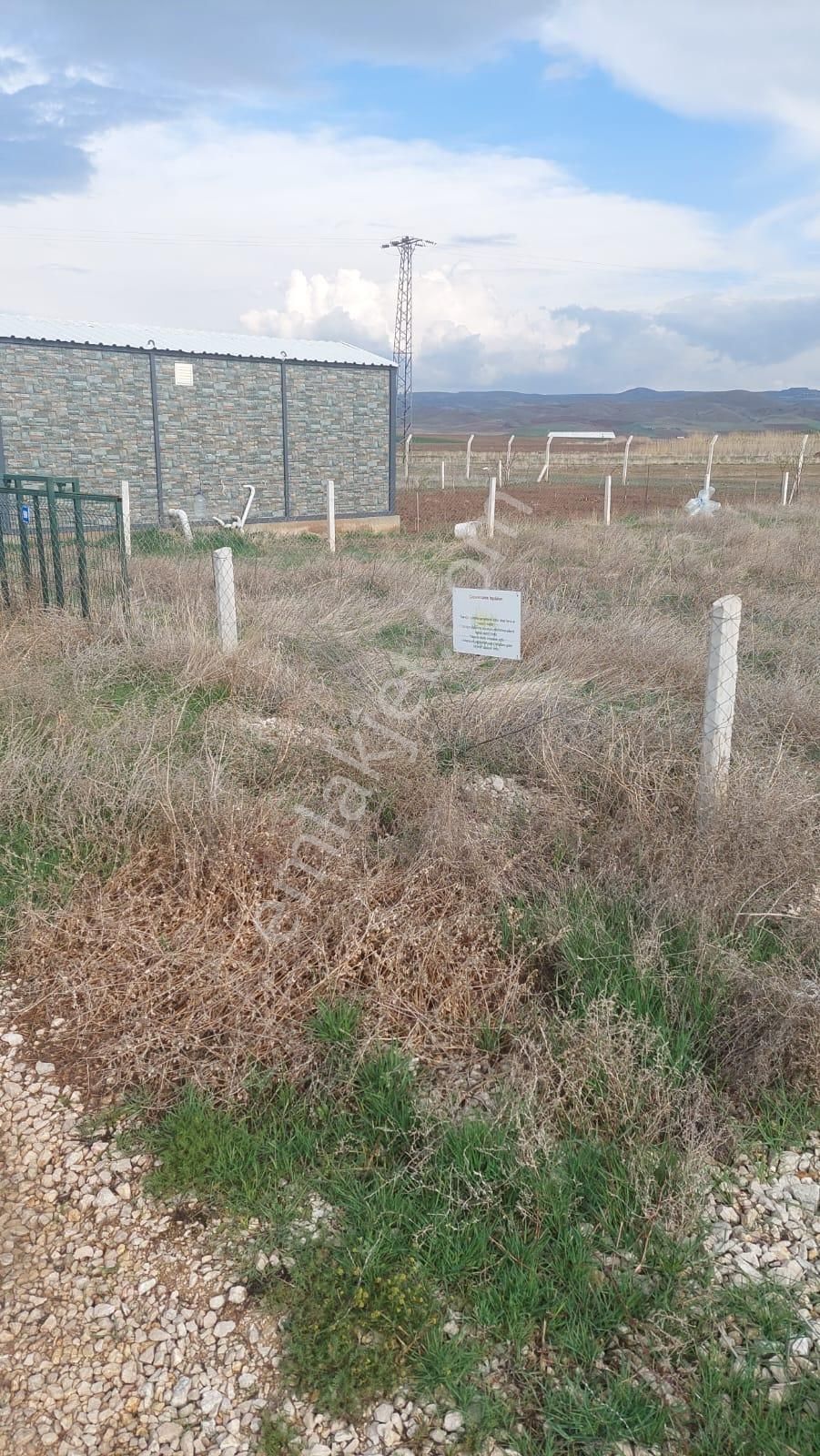Sincan Anayurt Mah 500 M2 Kop Hisseli Hobi Bahçesi Eil Su Yol Var Etrafı Çevrili