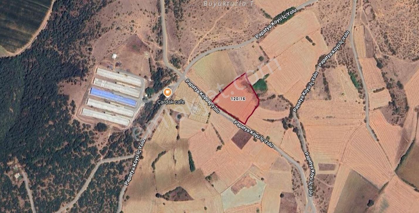Papatya Mah. 7.800m2 Tek Tapu Yola Cephe Satılık Yatırımlık Tarla