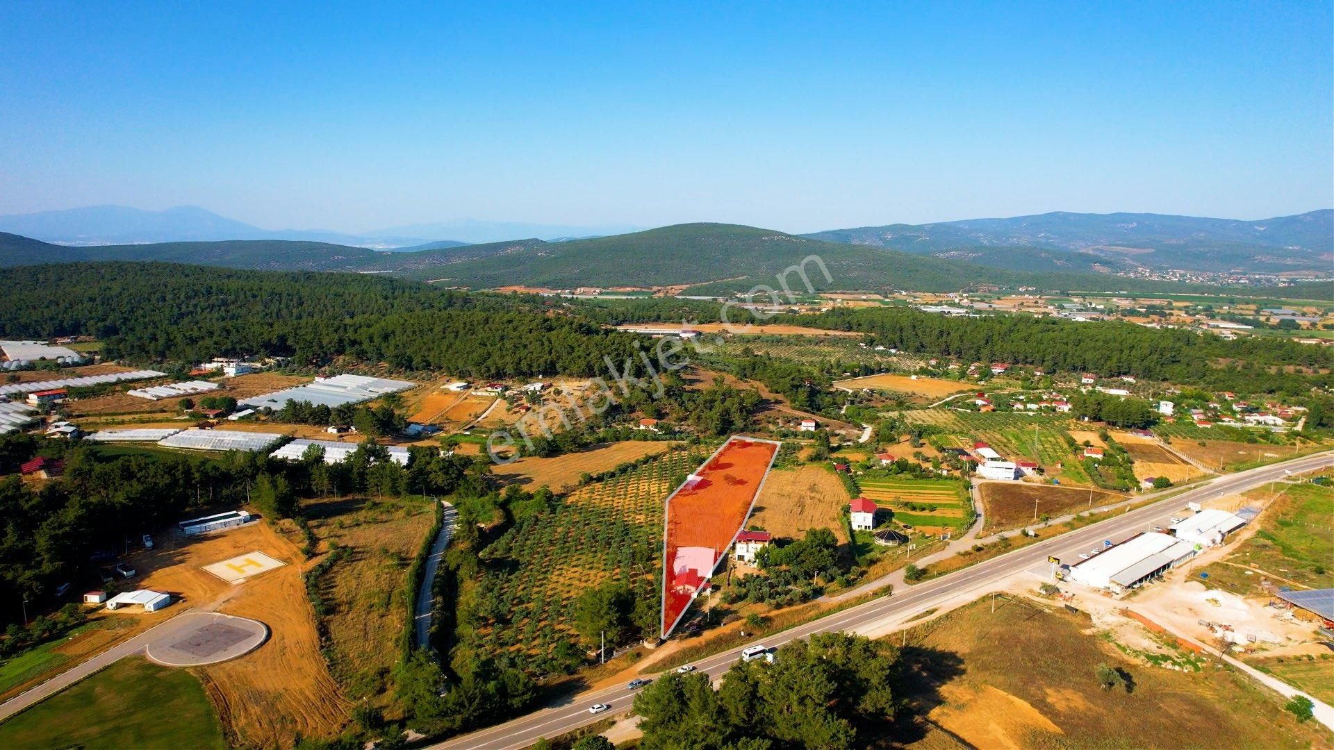 Ataköy İtfaiye Yanı,cad. Üzeri 8.305 M2 Tek Tapu 2+1 Ev’li Tarla - Görsel 22