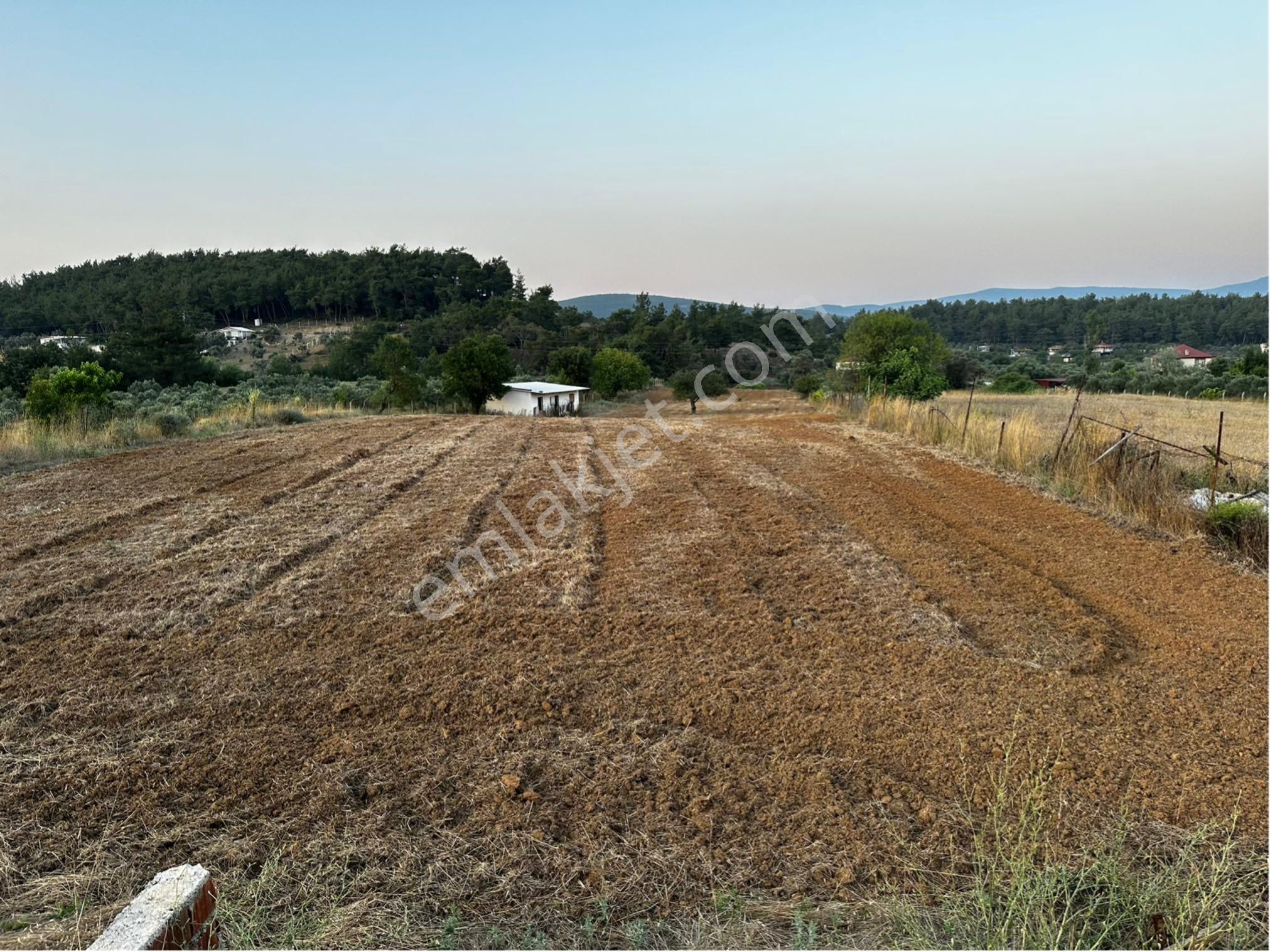 Ataköy İtfaiye Yanı,cad. Üzeri 8.305 M2 Tek Tapu 2+1 Ev’li Tarla - Görsel 14