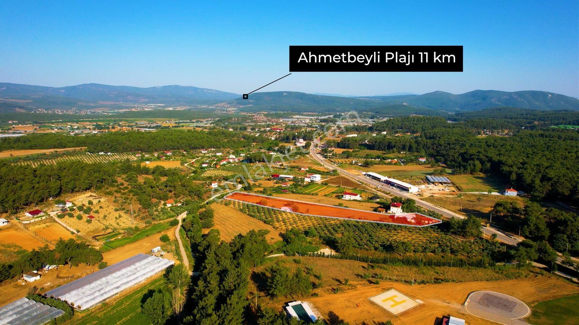 Ataköy İtfaiye Yanı,cad. Üzeri 8.305 M2 Tek Tapu 2+1 Ev’li Tarla - Görsel 9