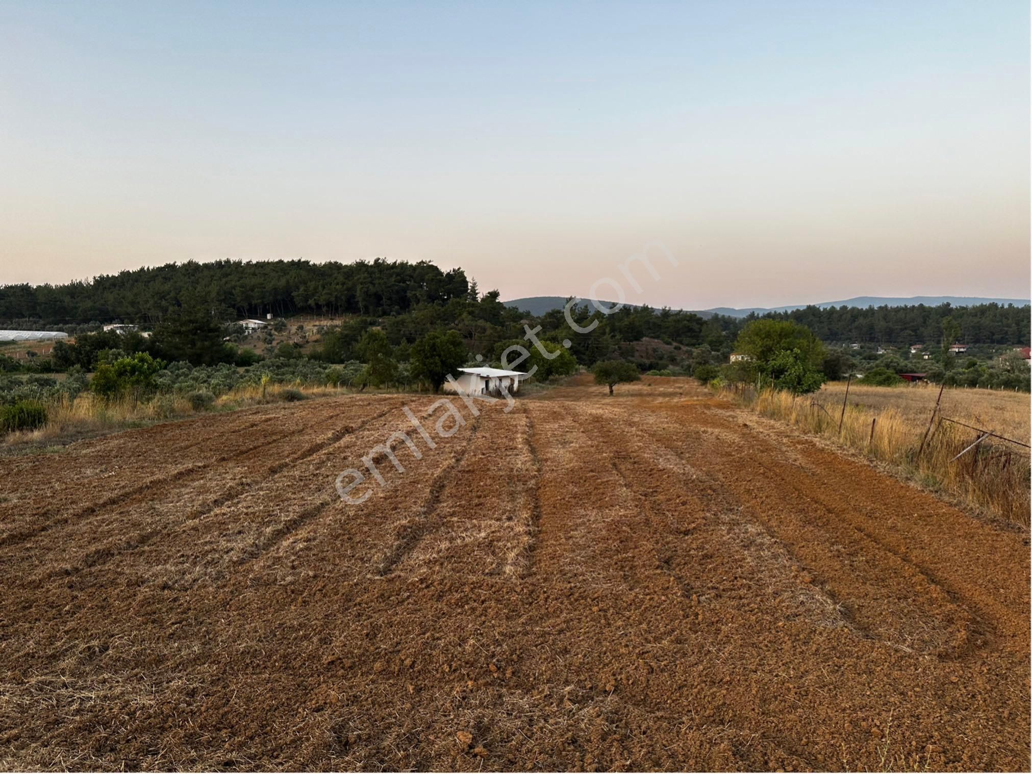 Ataköy İtfaiye Yanı,cad. Üzeri 8.305 M2 Tek Tapu 2+1 Ev’li Tarla - Görsel 29