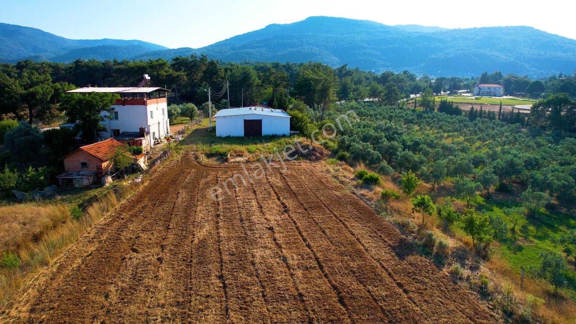 Ataköy İtfaiye Yanı,cad. Üzeri 8.305 M2 Tek Tapu 2+1 Ev’li Tarla