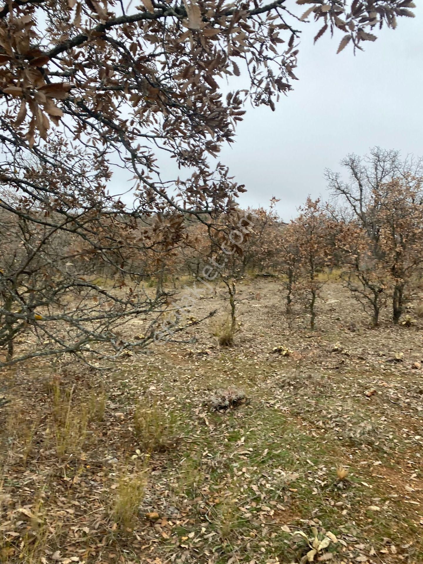 Bölgenin En Uygun En Mantıklı Arazisi Sizlerle.....