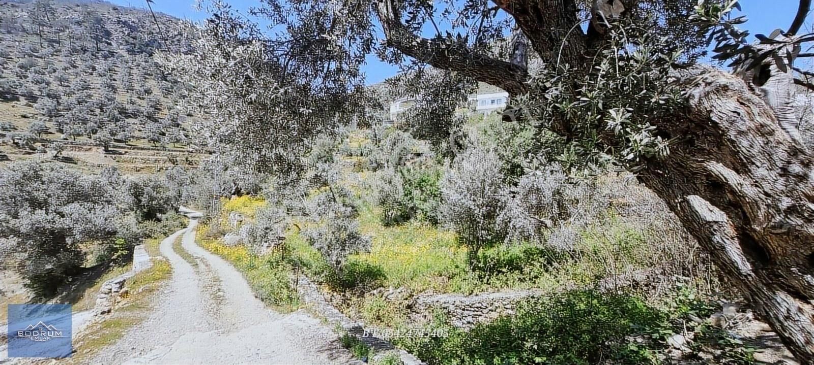 Bodrum Mazı Deniz Manzaralı 2 Villalık Arsa