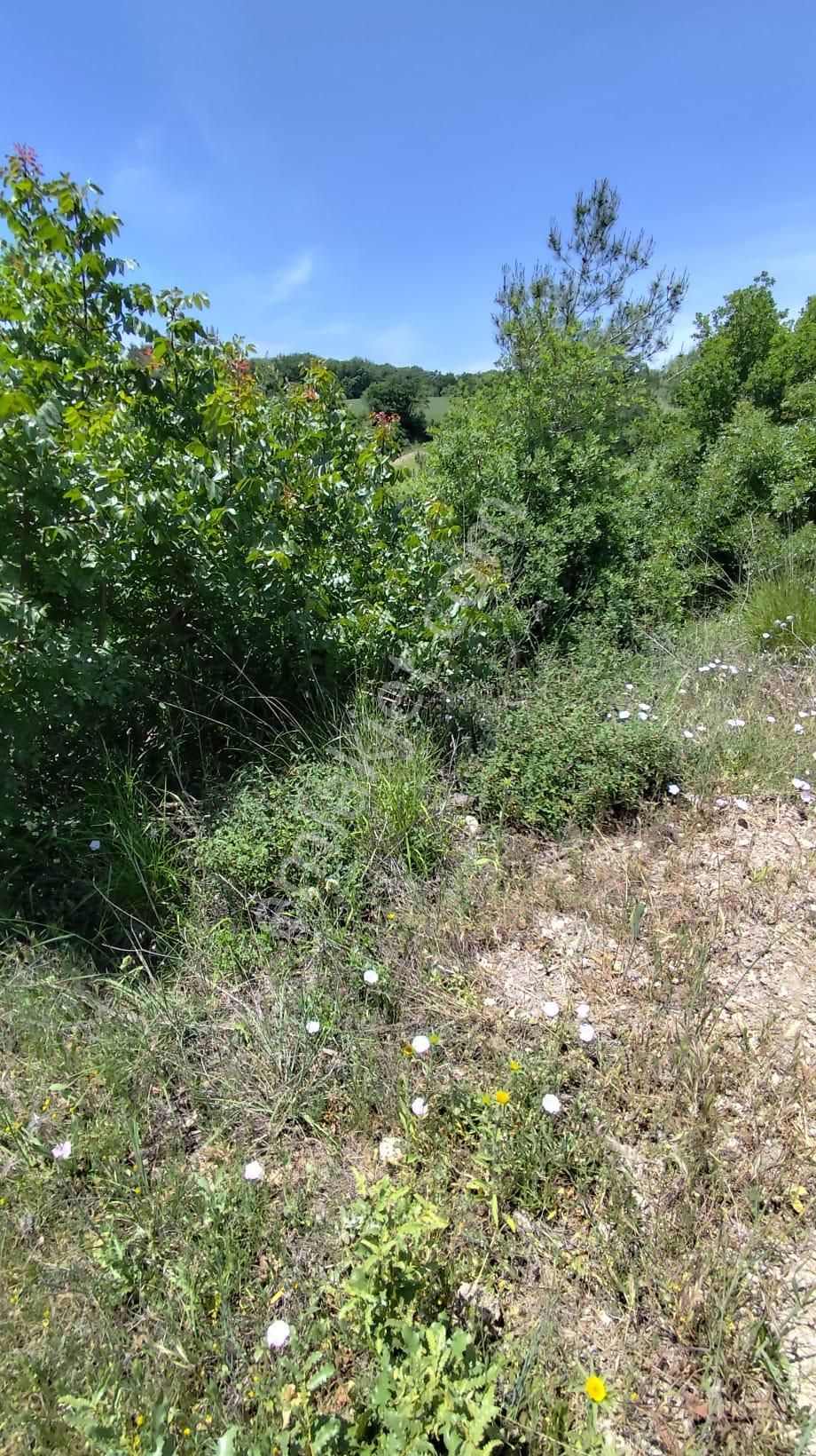 İnceoğlundan Güller'de 4600m2 Satılık Tarla