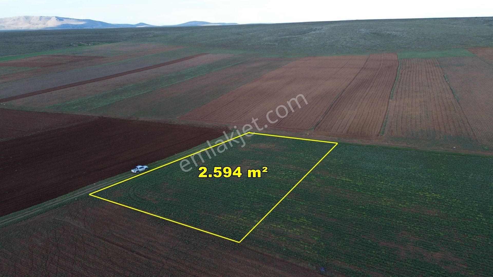 Onya / Akören / Orhaniye'de 2.594 M² Müstakil Tapu
