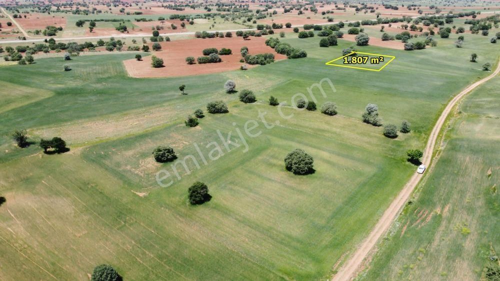 Akören Hacılarda 1.807 M2 Müstakil Tapulu Tarla