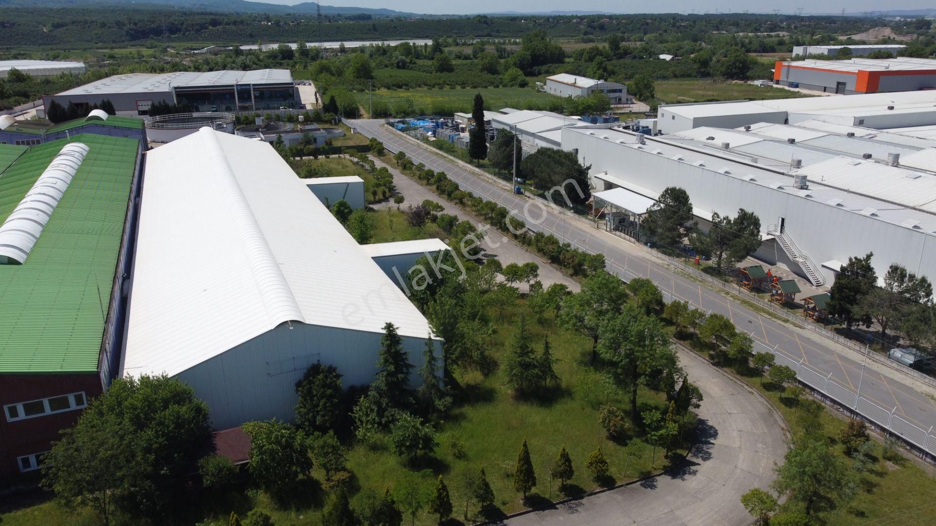 Satılık Sanayi İçinde Çed Uygun Fabrika Re/max Ay Hüseyinkubilay - Görsel 30