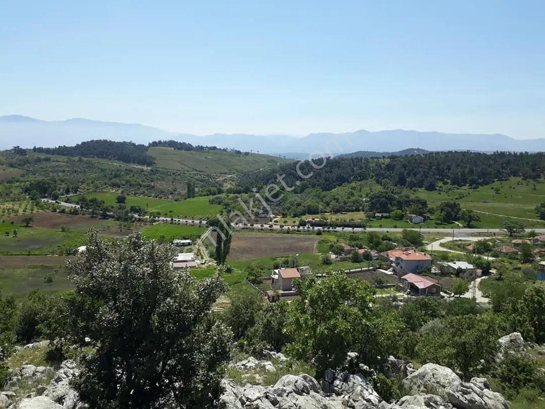 Manisa Yunusemre Büyük Sümbüller Mahallesinde Satılık Zeytinlik