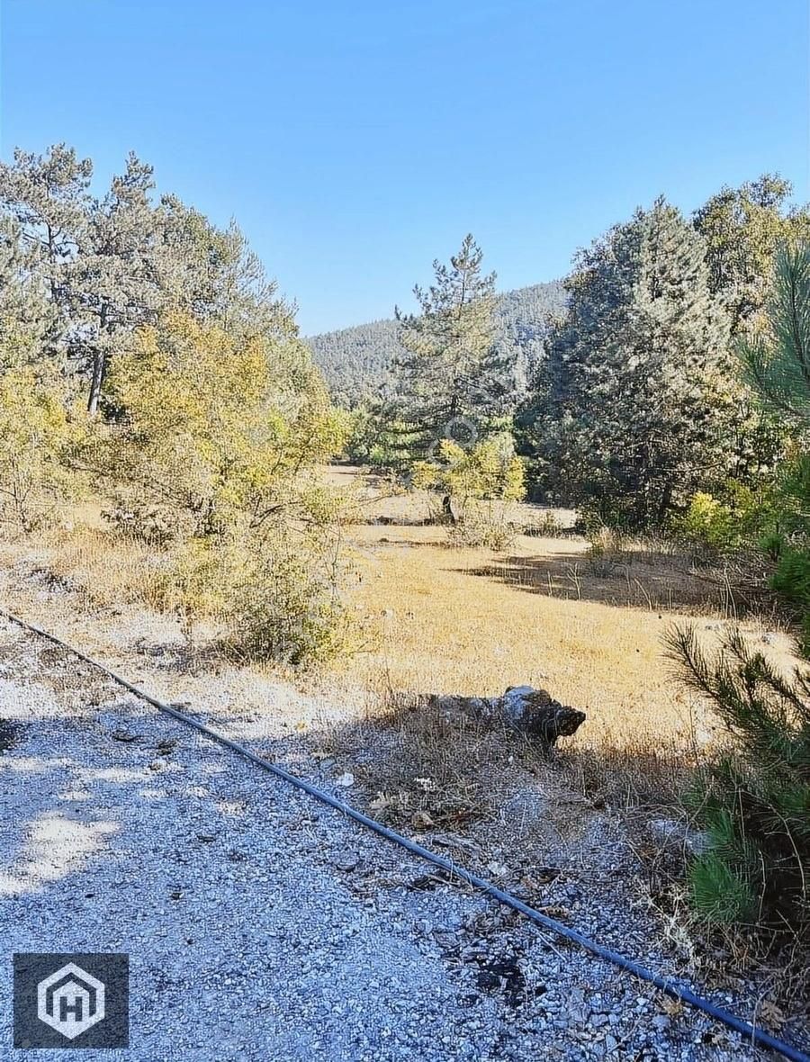 Hasdemir'den Kayapaya Yakın Konumda 5750mt2 Tek Tapulu Tarla
