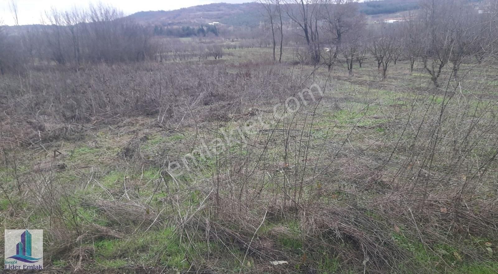 Bursa İnegöl Şehitler Mh 1900 M2 Satılık Tarla