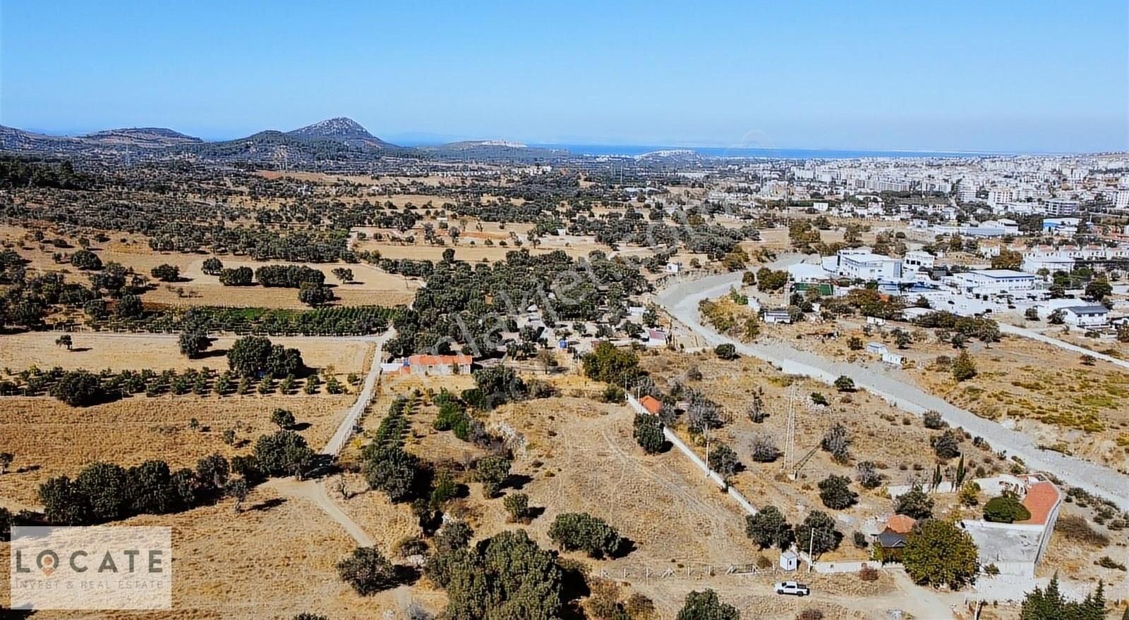 Locate'den Güzelbahçe Çamlı'da İmara Yakın Satılık Tarla
