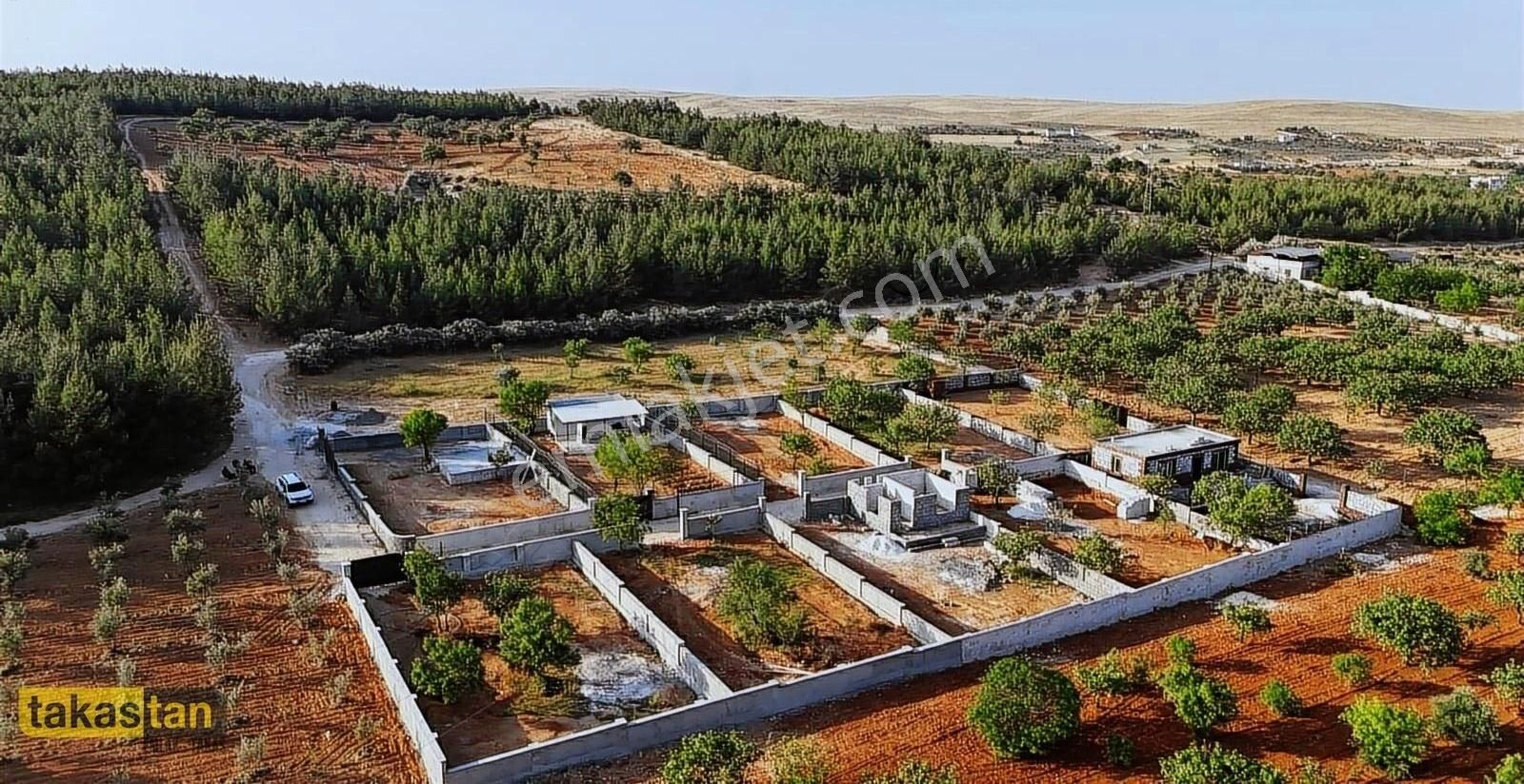 Suboğaz Bağevi Yapımına Hazır Şehre 5 Dk İmar Yakını Fırsat